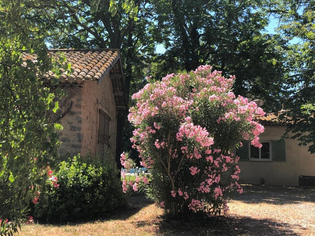 Le Nid Des Corbieres Bed & Breakfast Bizanet Eksteriør bilde